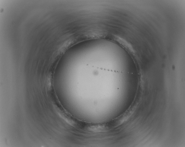 X0000074330065200609082042