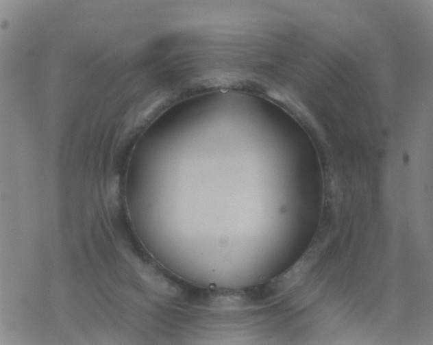 X0000074330066200609082042