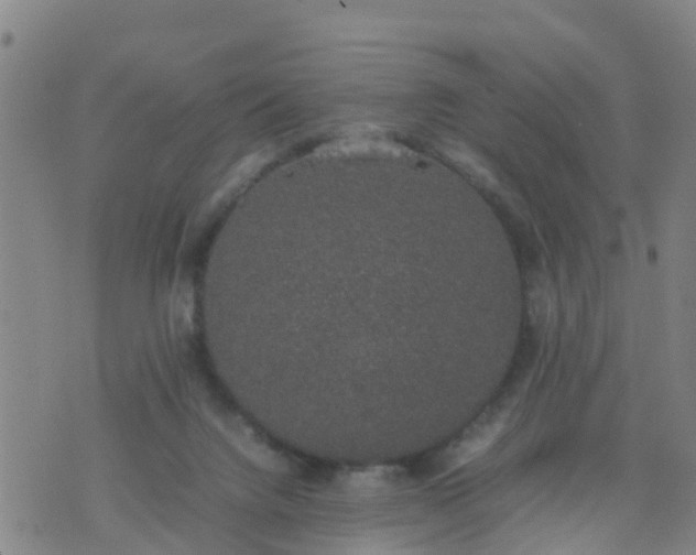 X0000074330072200609082042