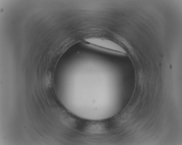 X0000074330073200609082042