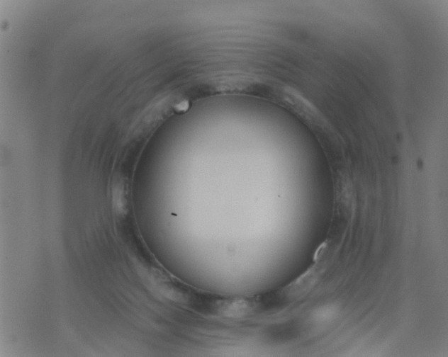 X0000074330074200609082043