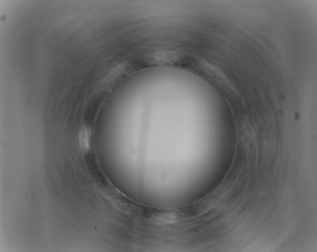 X0000074330075200609082043