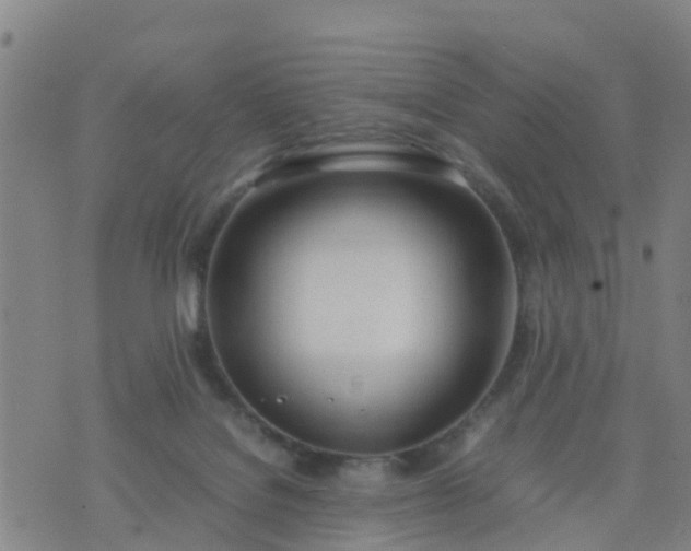 X0000074330076200609082043