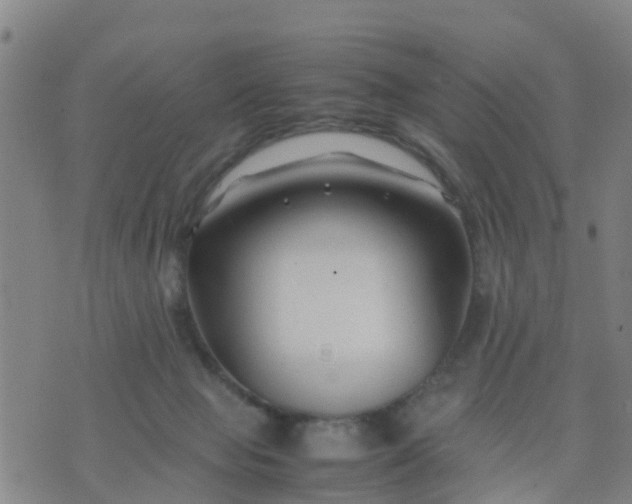 X0000074330077200609082043