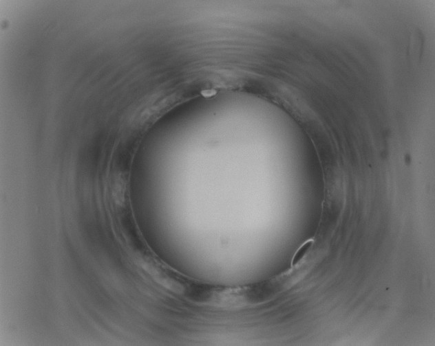 X0000074330078200609082043