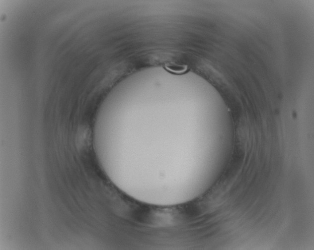 X0000074330079200609082043