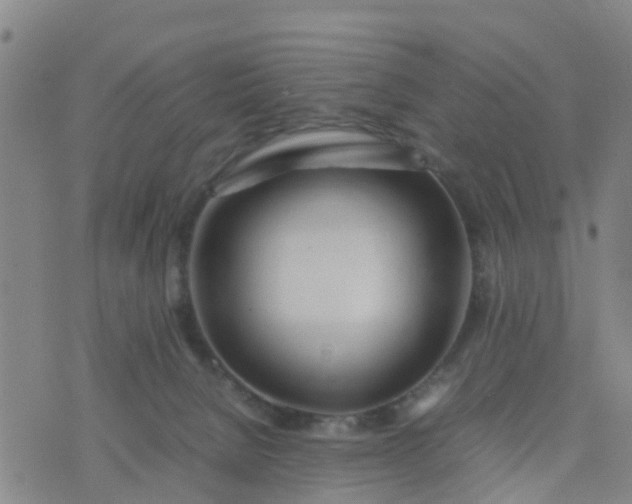 X0000074330080200609082043