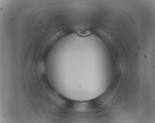 X0000074330081200609082043