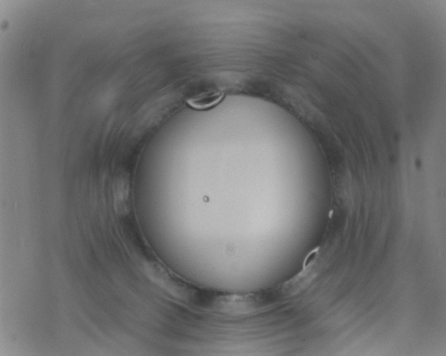 X0000074330082200609082043