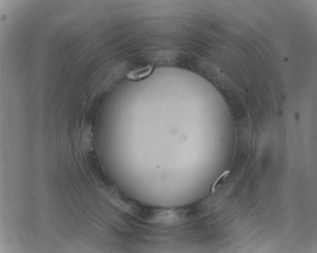 X0000074330083200609082043