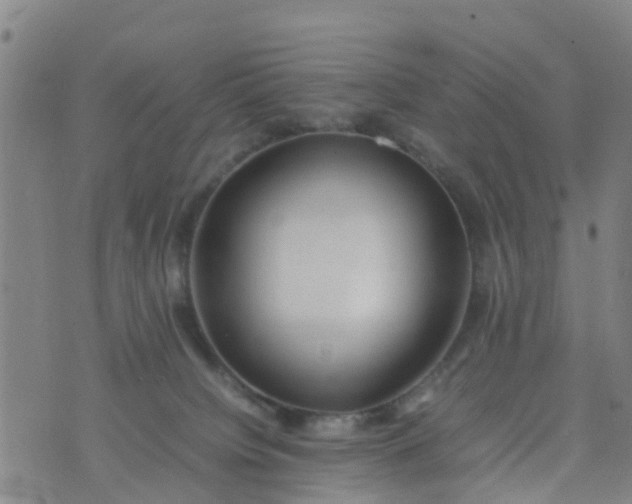 X0000074330084200609082043