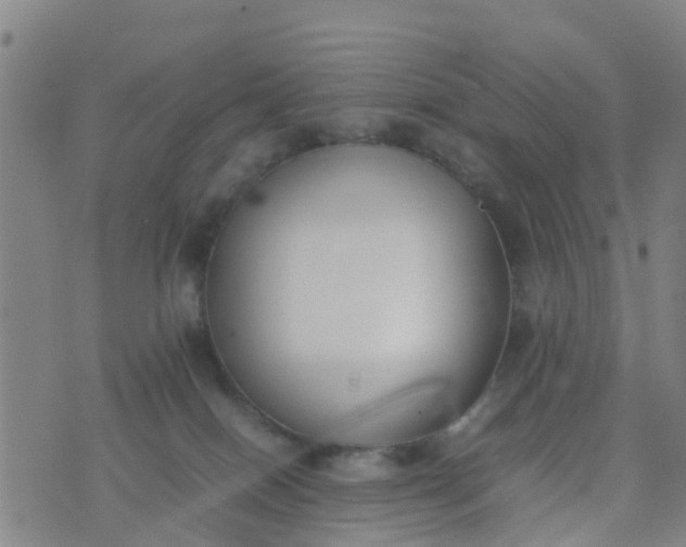 X0000074330086200609082043