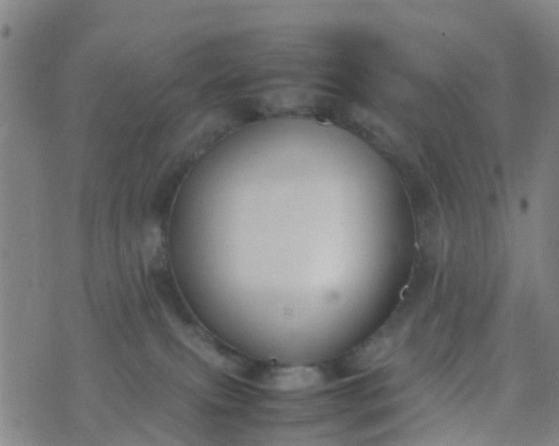 X0000074330087200609082043