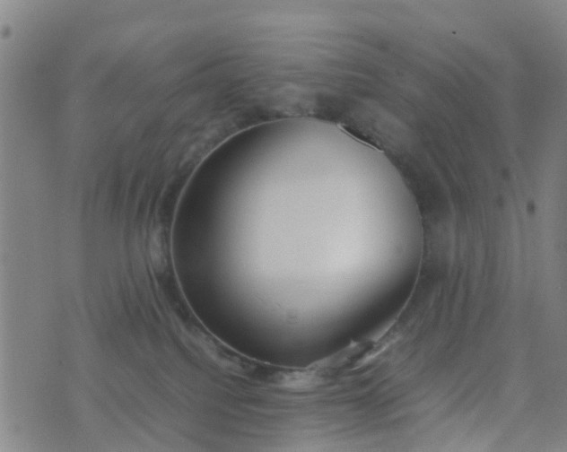 X0000074330088200609082043