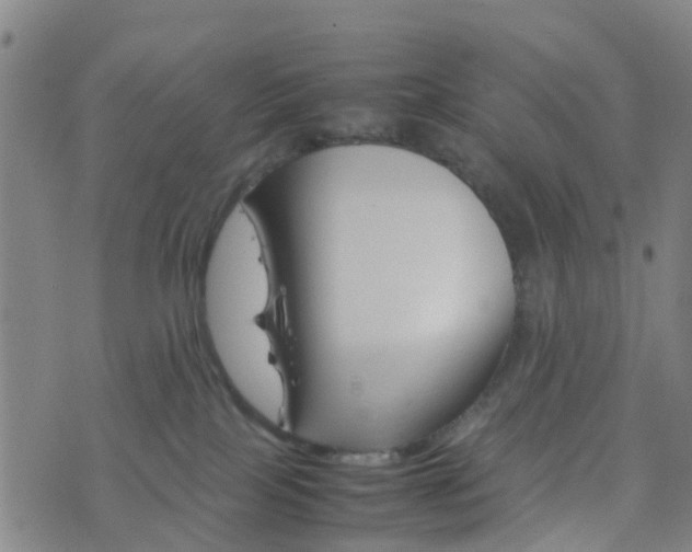 X0000074330089200609082043