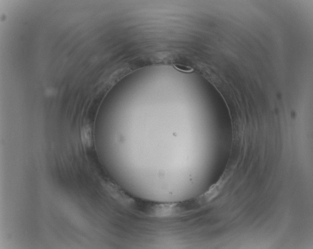 X0000074330090200609082043