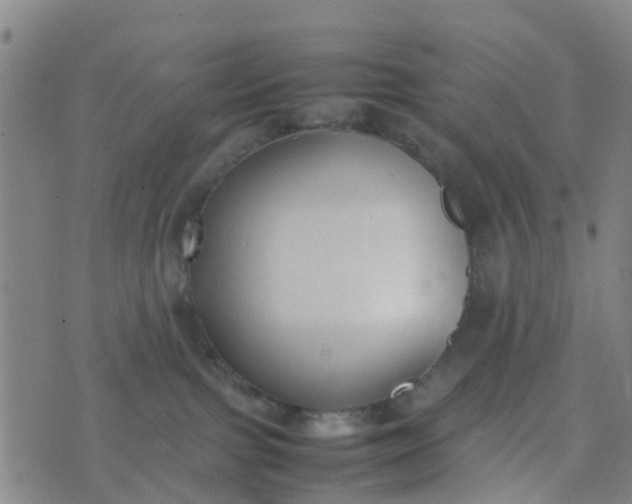 X0000074330091200609082043