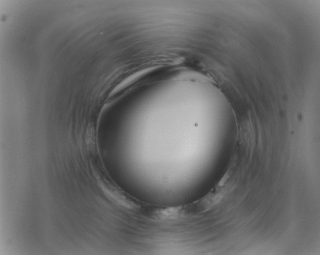 X0000074330092200609082043