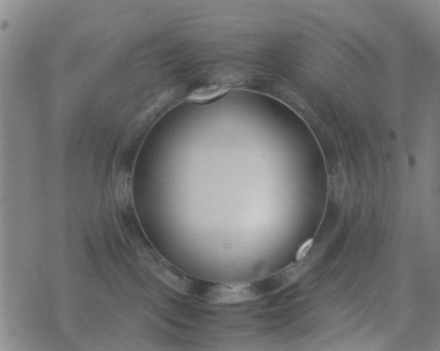 X0000074330093200609082043