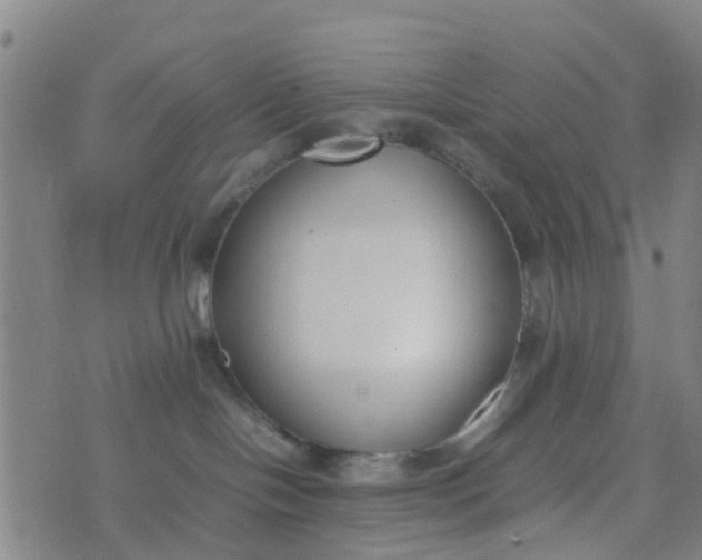 X0000074330094200609082043