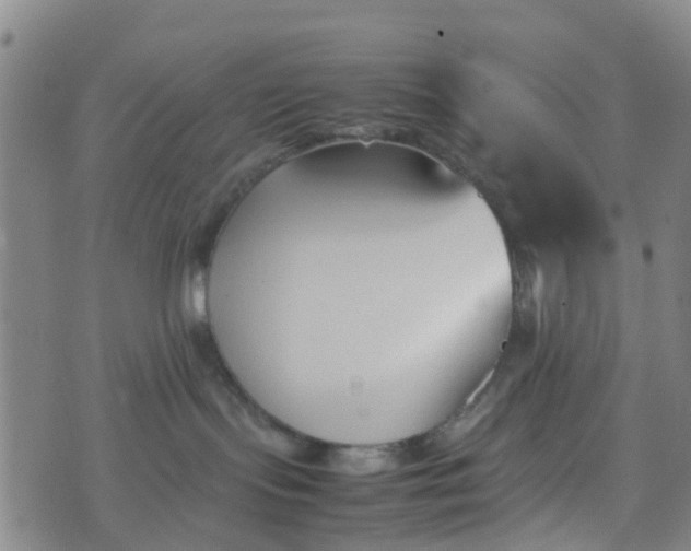 X0000074330095200609082043