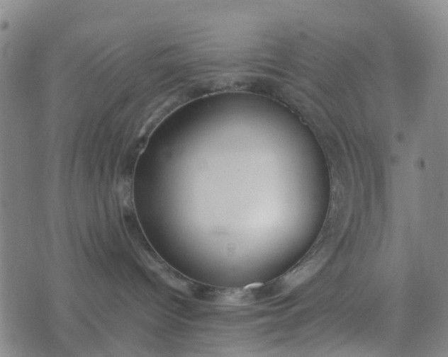 X0000074330096200609082043