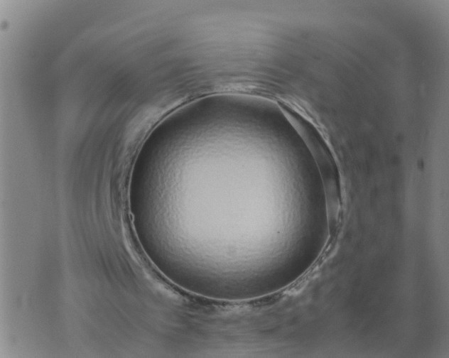 X0000074330097200609082042