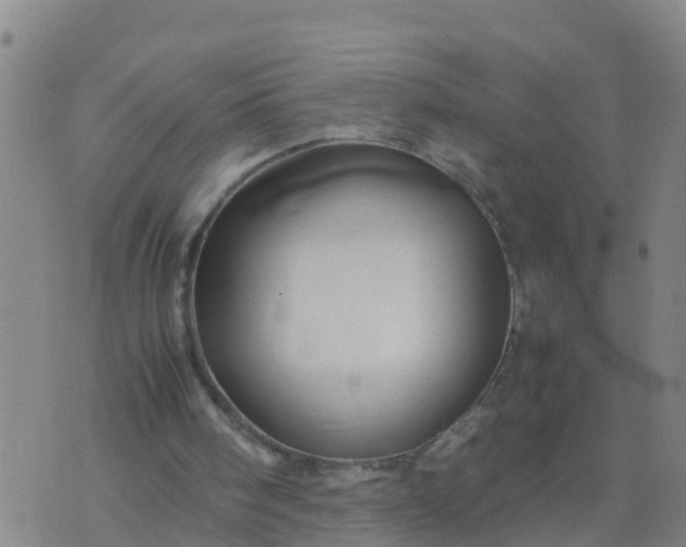 X0000074330098200609082042