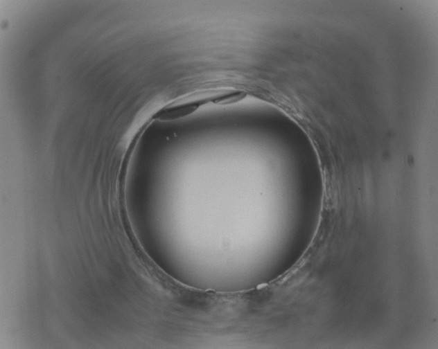 X0000074330099200609082042