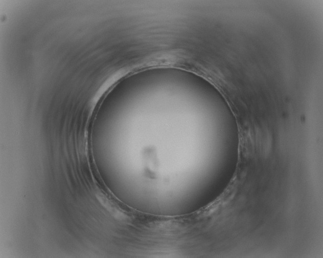 X0000074330100200609082042