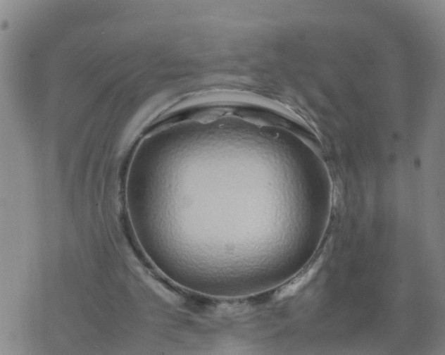 X0000074330101200609082042