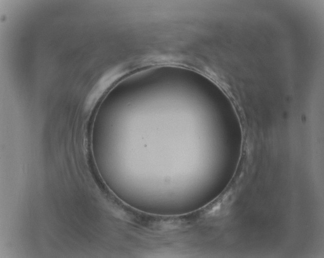 X0000074330103200609082042