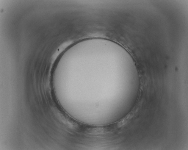 X0000074330104200609082042