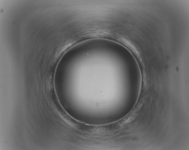 X0000074330105200609082042