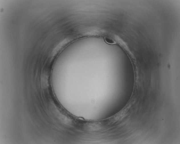 X0000074330106200609082042