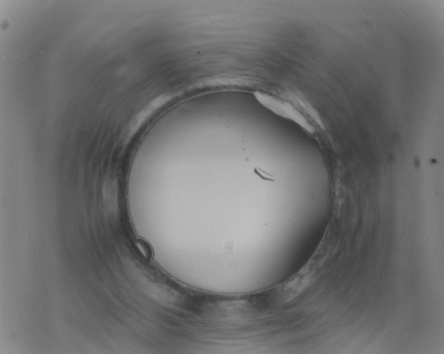 X0000074330108200609082042