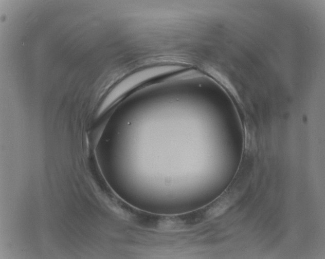 X0000074330109200609082042