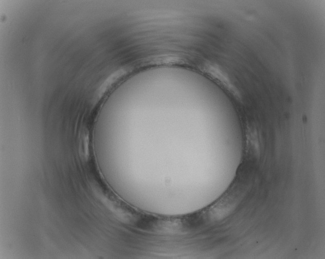 X0000074330110200609082042