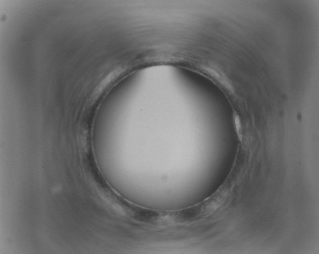 X0000074330111200609082042