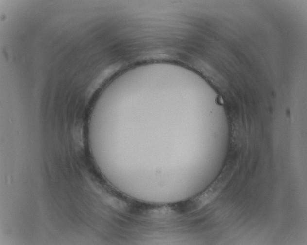 X0000074330112200609082042