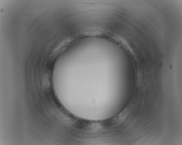 X0000074330114200609082042