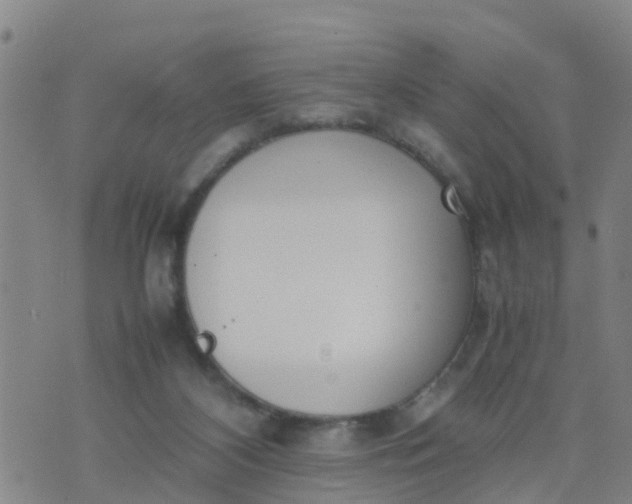 X0000074330116200609082042