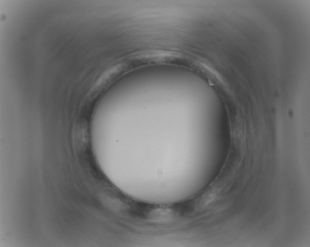 X0000074330119200609082042