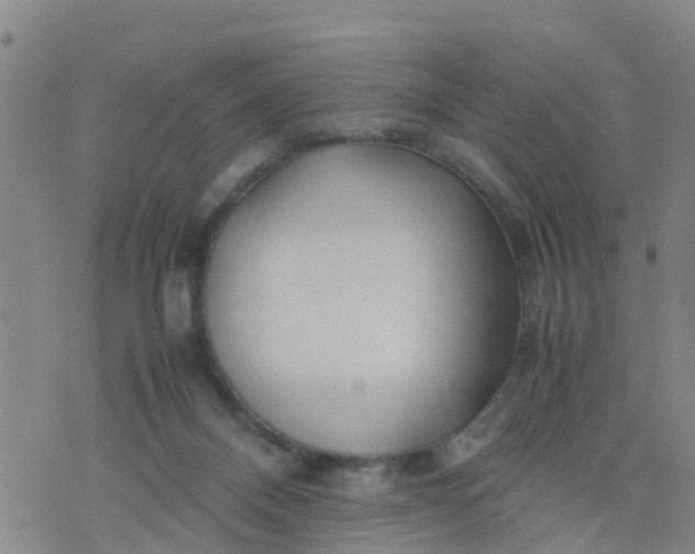 X0000074330120200609082042