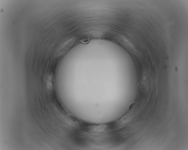 X0000074330122200609082042