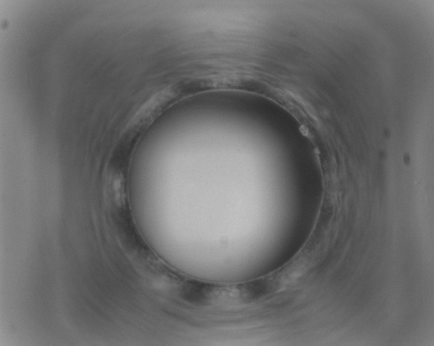 X0000074330123200609082042