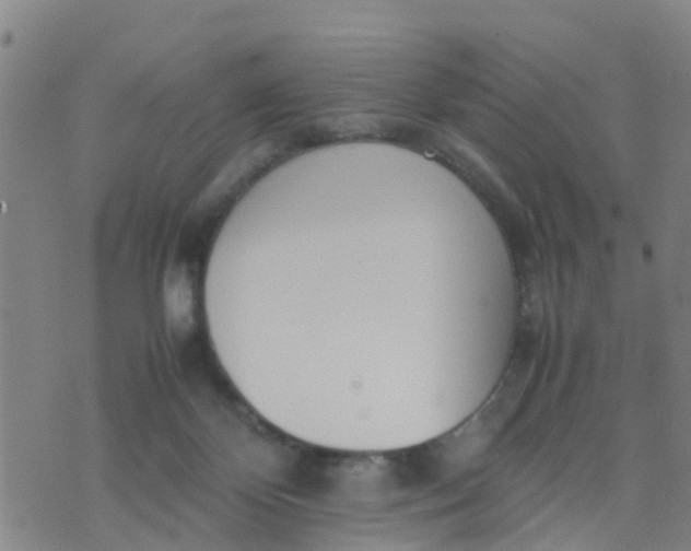 X0000074330124200609082042