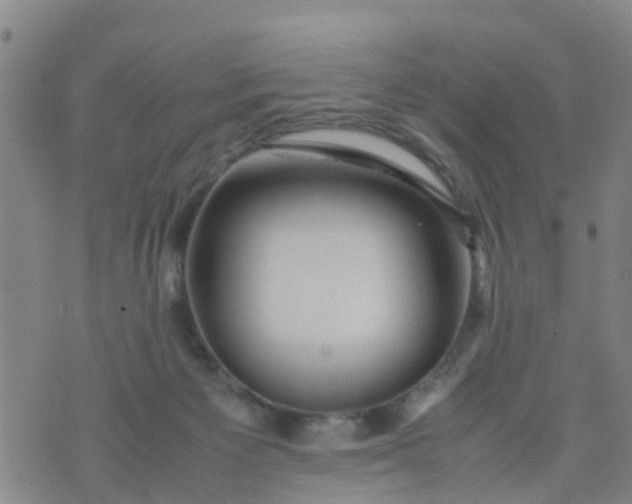 X0000074330125200609082042