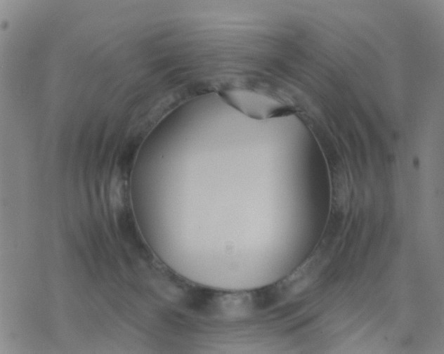 X0000074330126200609082042