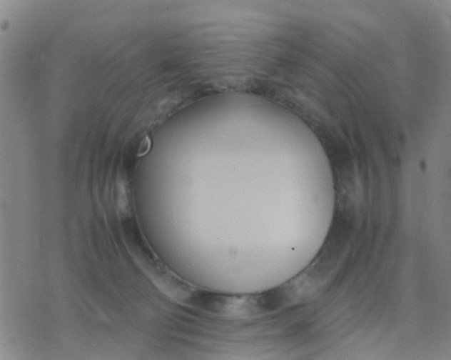 X0000074330130200609082042